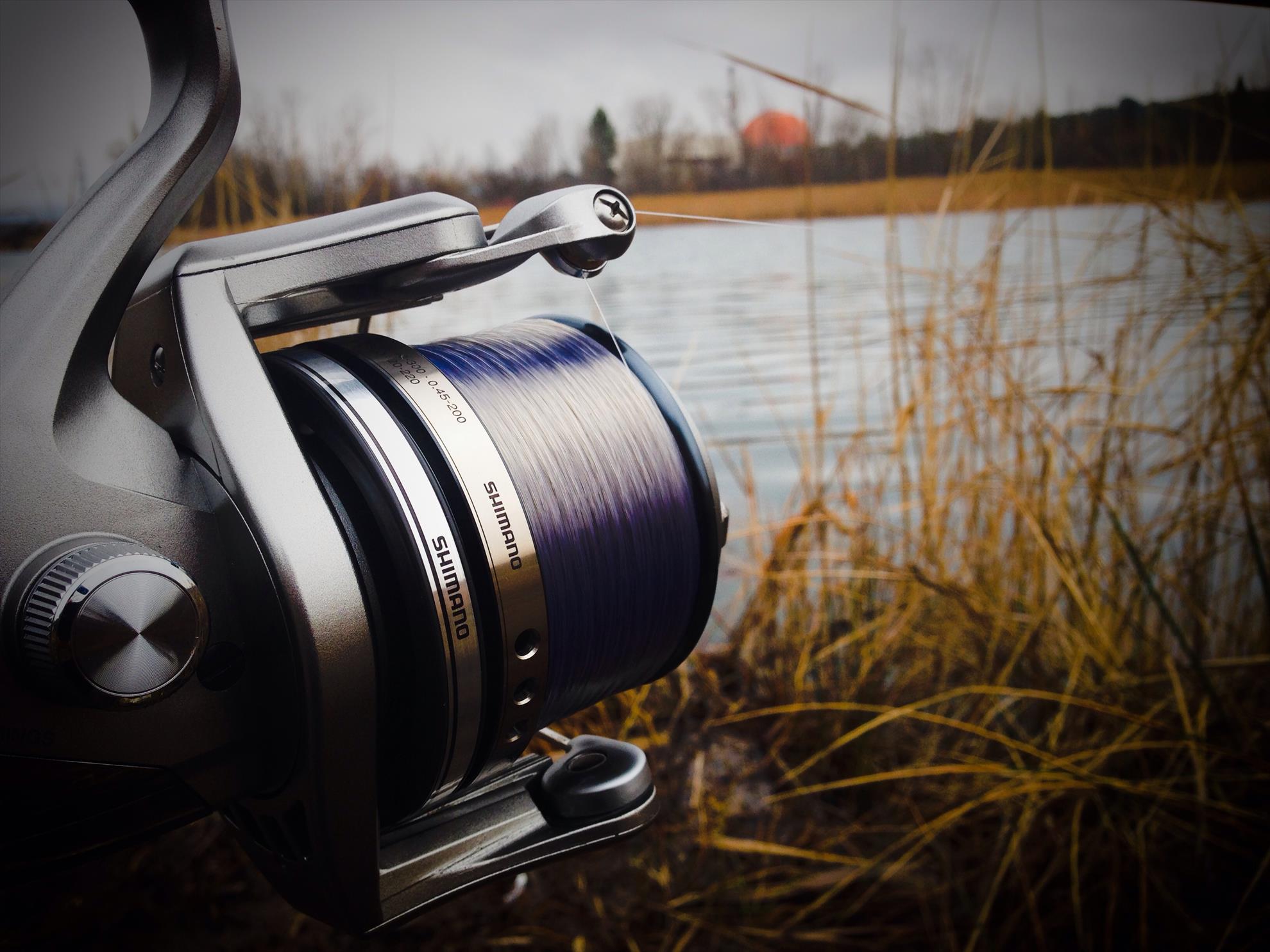 2013 - 3 - image1111111111.jpg